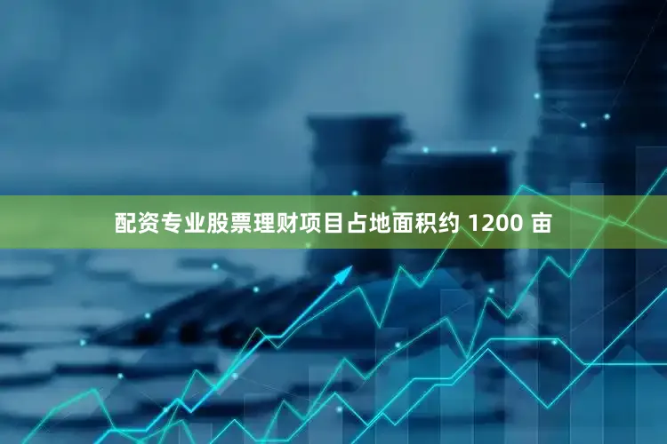 配资专业股票理财项目占地面积约 1200 亩