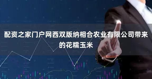 配资之家门户网西双版纳相合农业有限公司带来的花糯玉米